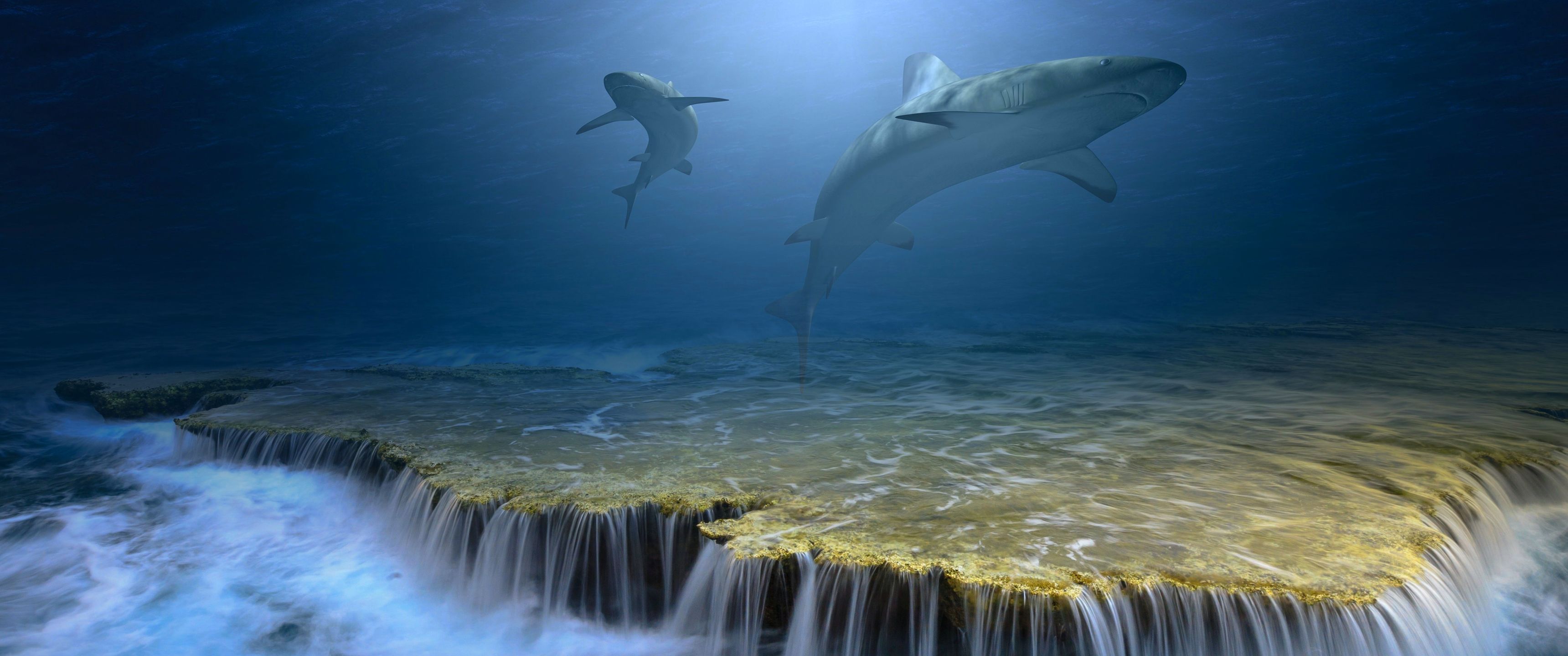 3440x1440 Download Sharks, Sea, Ocean, Water, Underwater, Peace, Glow Wallpaper in 3440x1440 Resolution