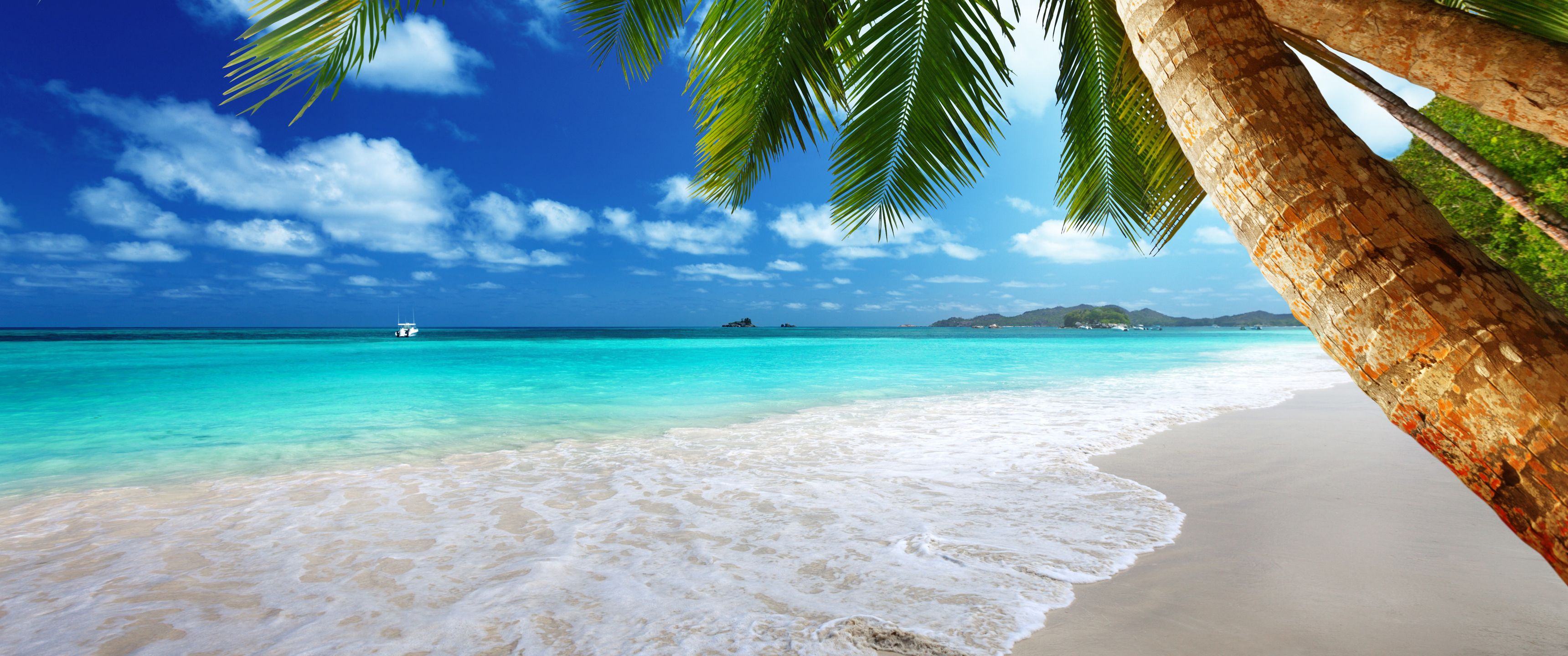 3440x1440 Download Paradise, Beach, Sea, Palm trees Wallpaper in 3440x1440 Resolution