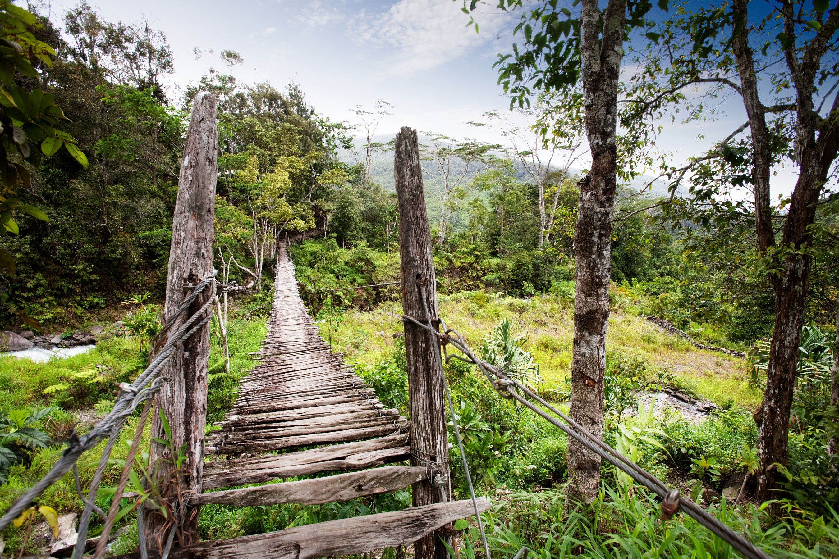 2700x1800 Jungle Bridge Path