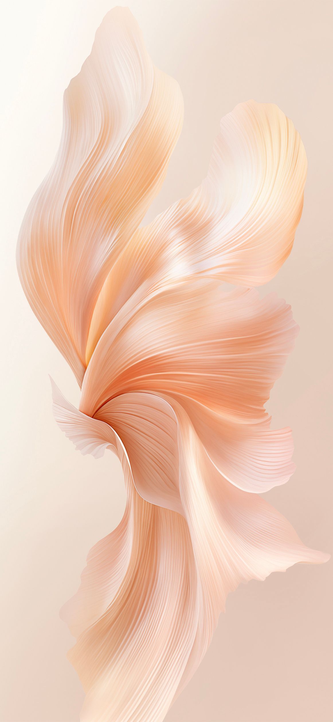 1162x2520 Honor Magic V Flip Wallpaper and Background