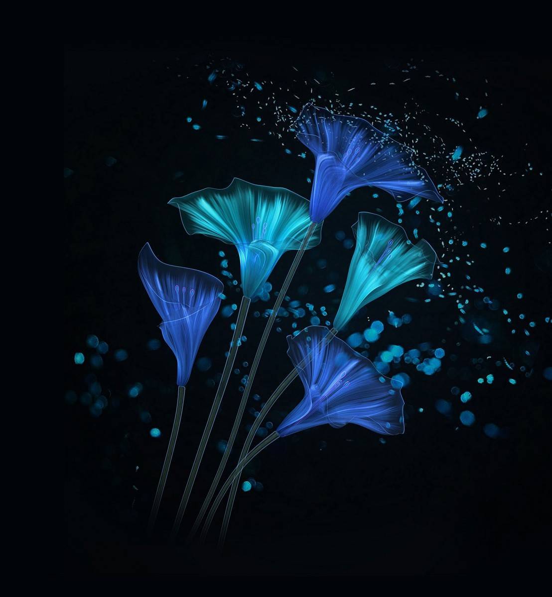 1108x1200 Download Honor Magic 2 Wallpaper, Live Wallpaper, and Themes