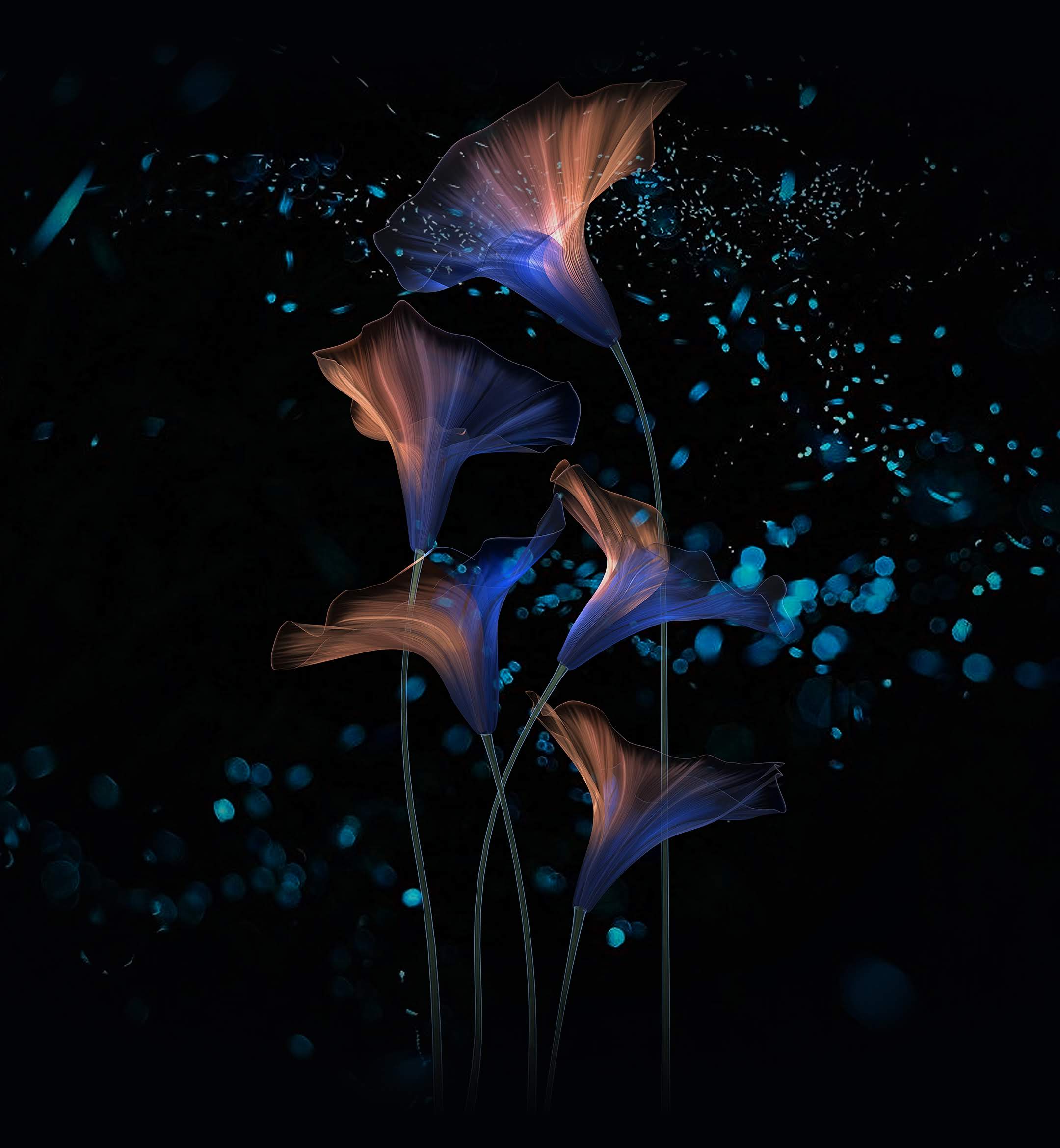 2160x2340 Honor Magic 2 Wallpaper Free High Quality Background