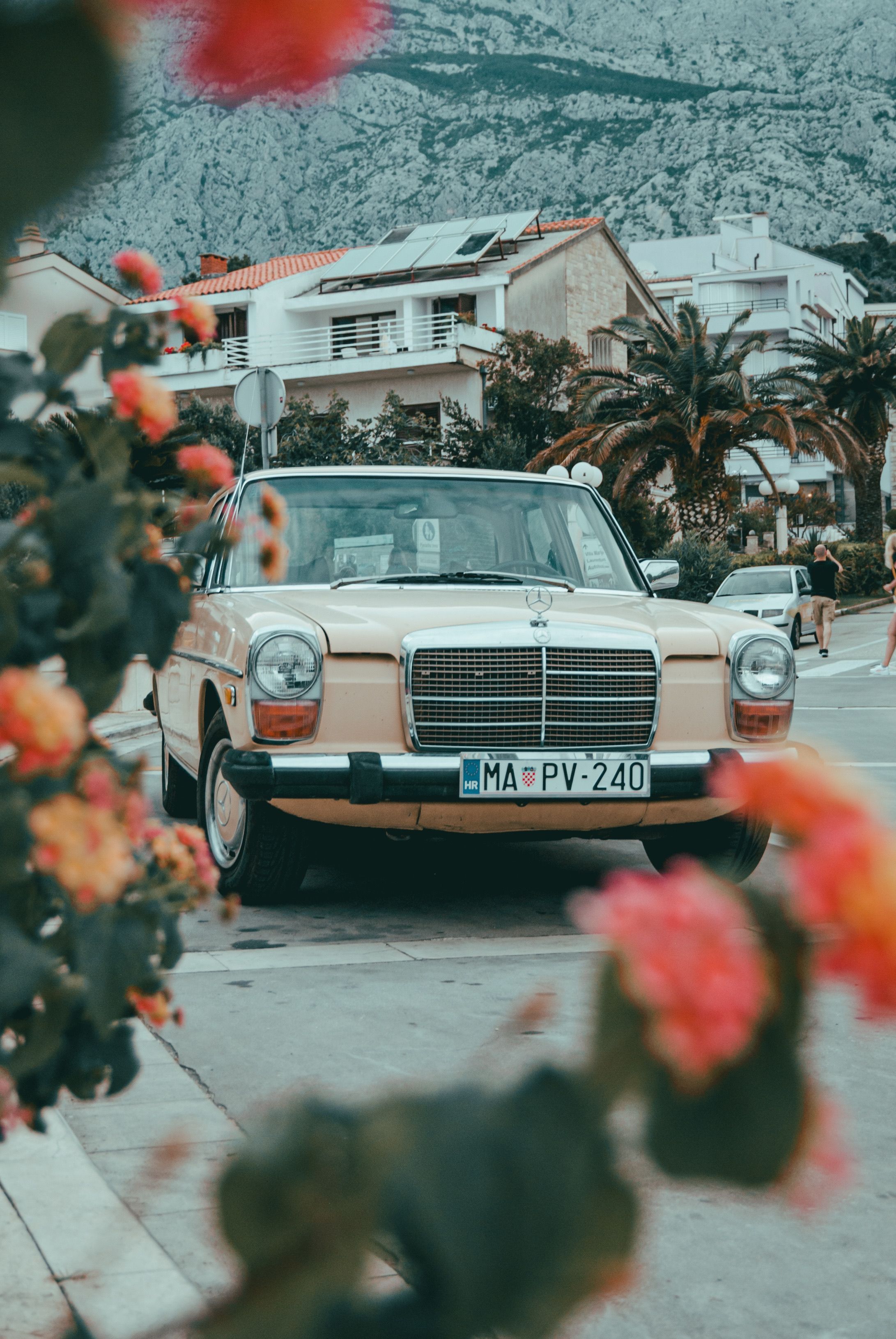 2182x3259 Mercedes W115 Photo, Download The BEST Free Mercedes W115 & HD Image