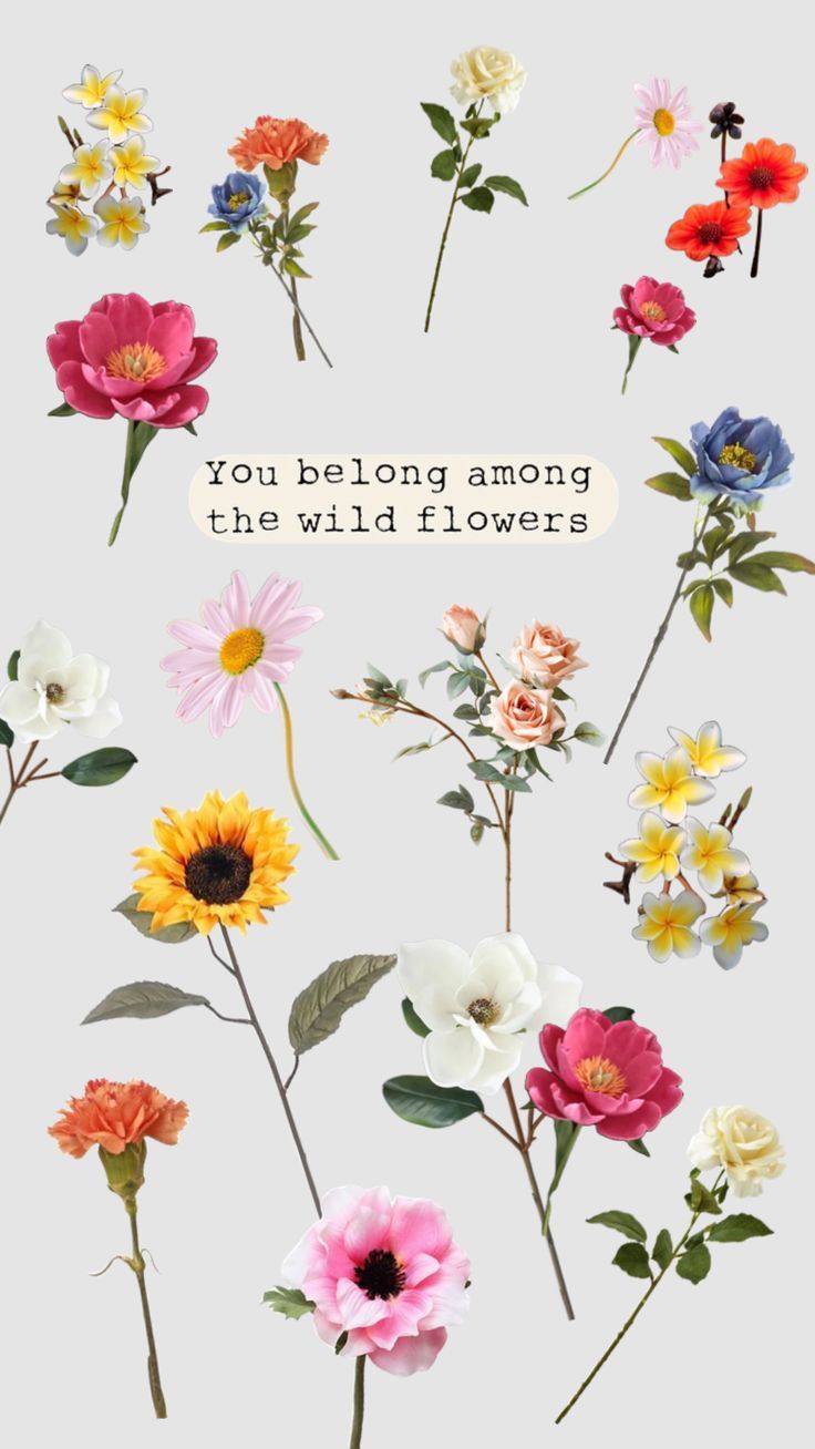 736x1308 Check out emmamitchelluk's Shuffles Wild flowers #wild #flower #quote #strength #beauty #wallpaper #inspiration #inspira