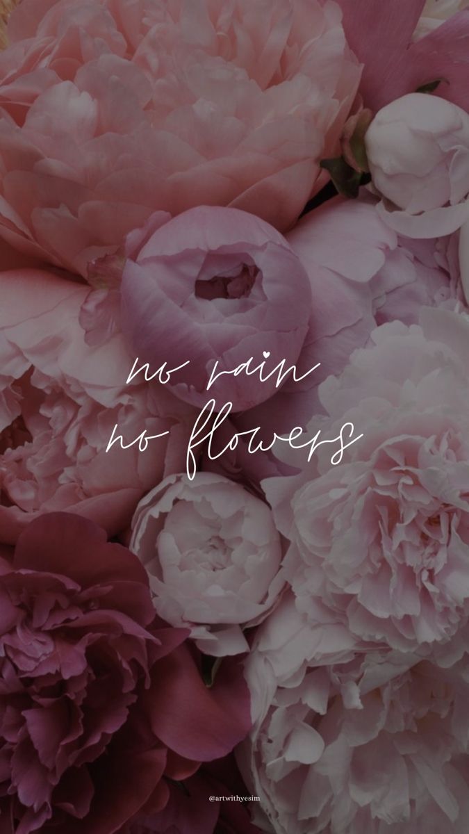 675x1200 norainnoflowers #flowers #aesthetic #wall #wallpaper #pink #motivation #motivationalquotes. Cover para celulares, Fotografía mágica, Temas de pantalla