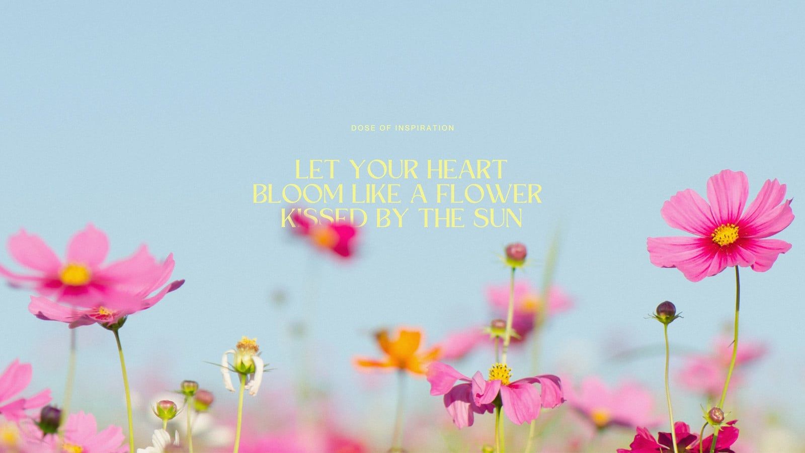 1600x900 and customizable summer desktop wallpaper templates