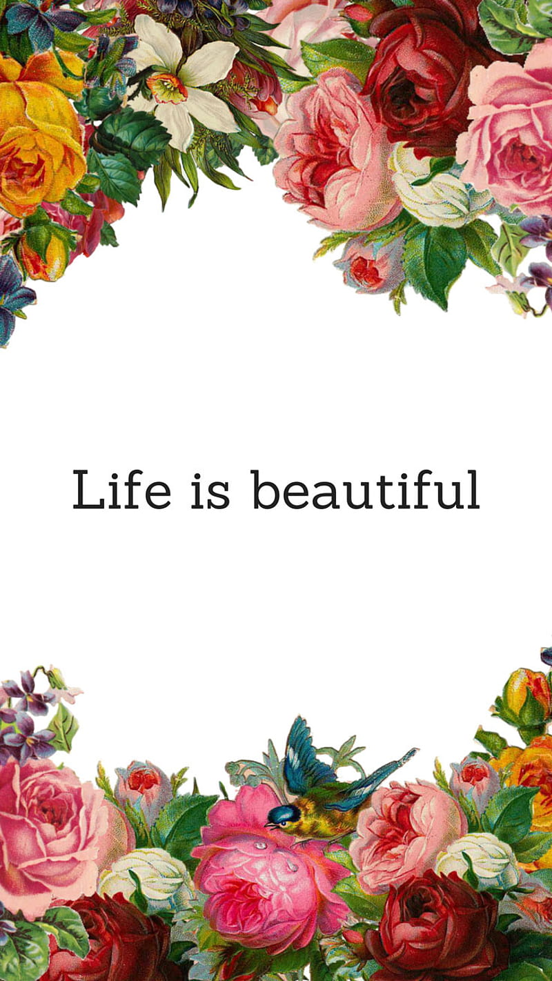 800x1422 Life is Beautiful, flowers, sayings, quote, life, HD phone wallpaper