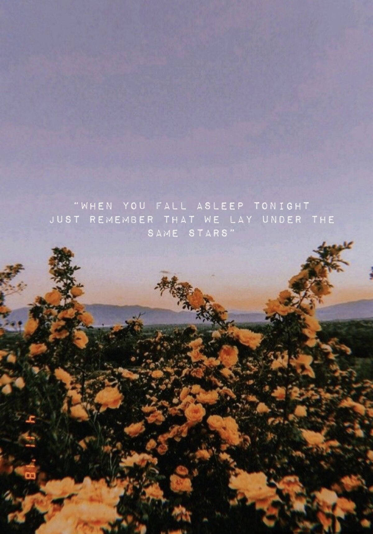 1200x1716 Download Yellow Flower Field Aesthetic Tumblr Quotes Wallpaper