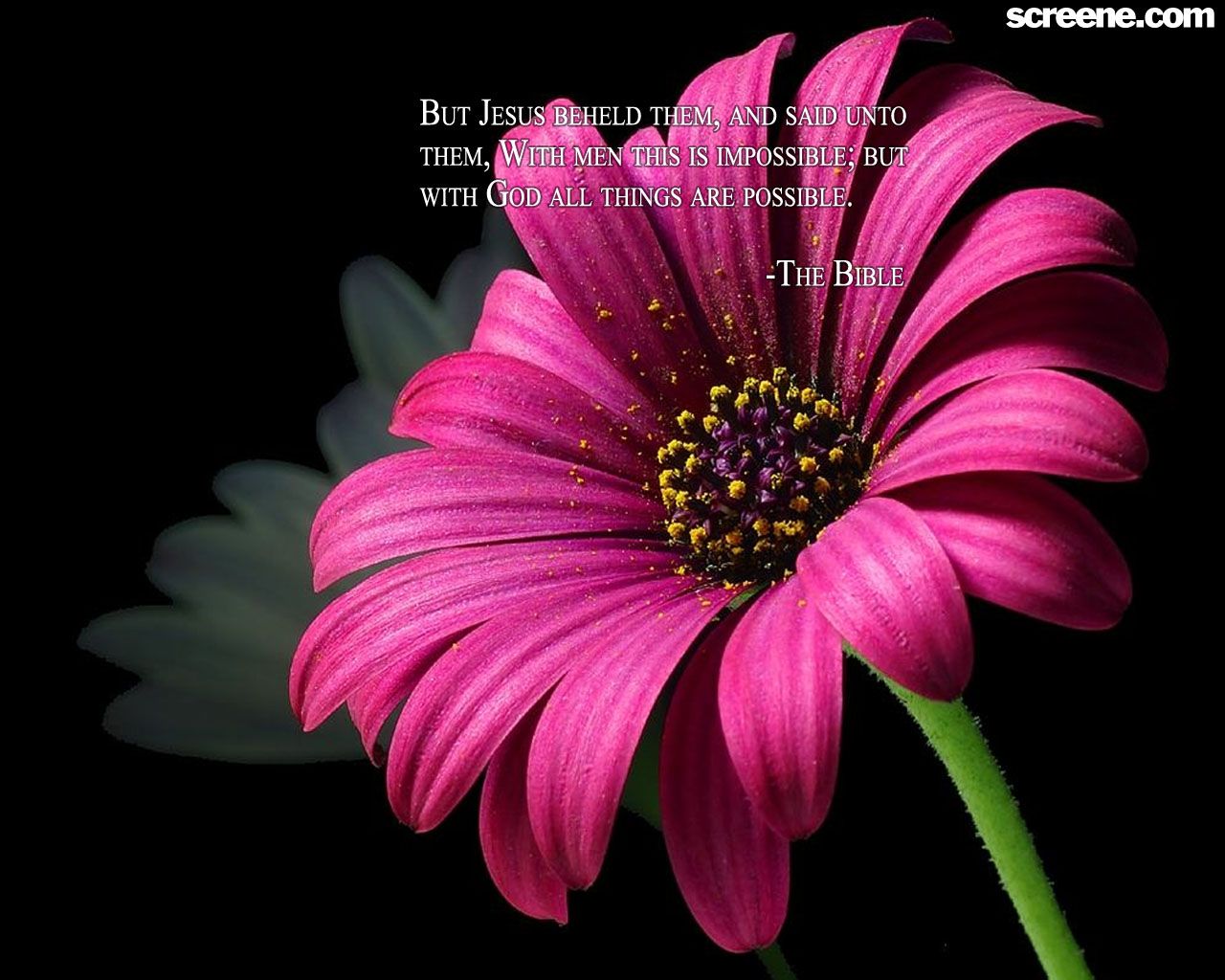 1280x1024 Christian Quotes About Flowers. QuotesGram