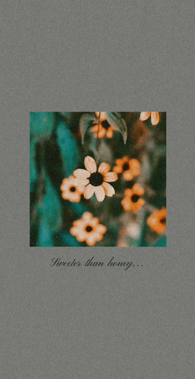 800x1552 Sweeter than honey, aesthetic, christmas, cute, decoration, flower, quotes, sayings, HD phone wallpaper