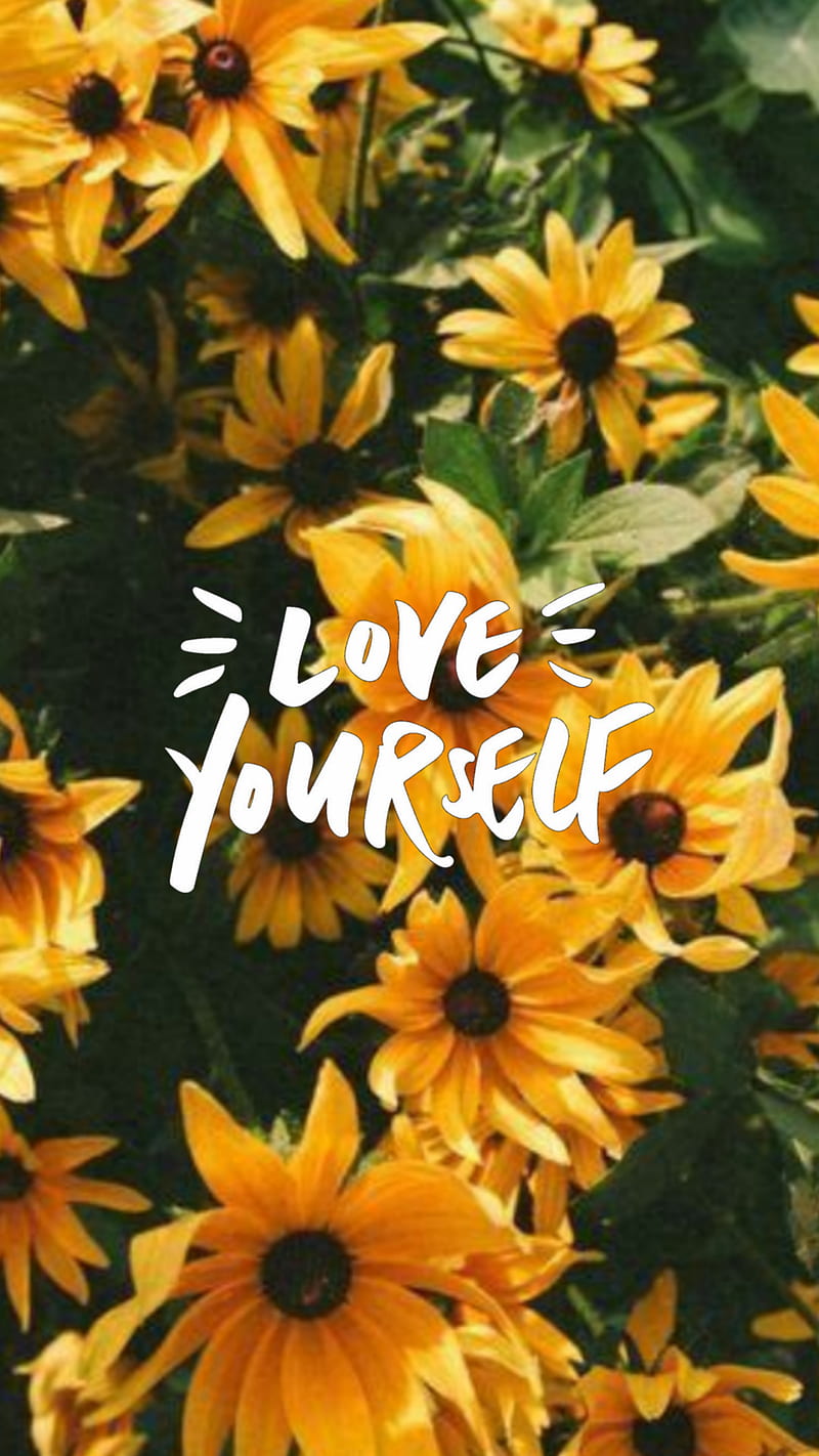 800x1422 Sunflower, aesthetic, daisy, flower, flowers, joy, love, quote, quotes, yellow, HD phone wallpaper