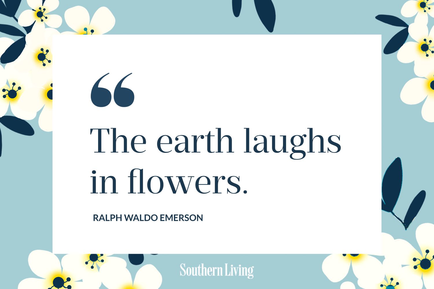 1500x1000 Flower Quotes Blooming With Cheer
