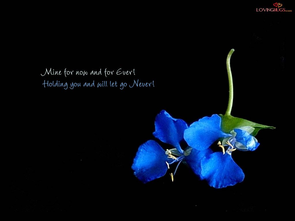 1024x768 Cool Flower Quotes. QuotesGram