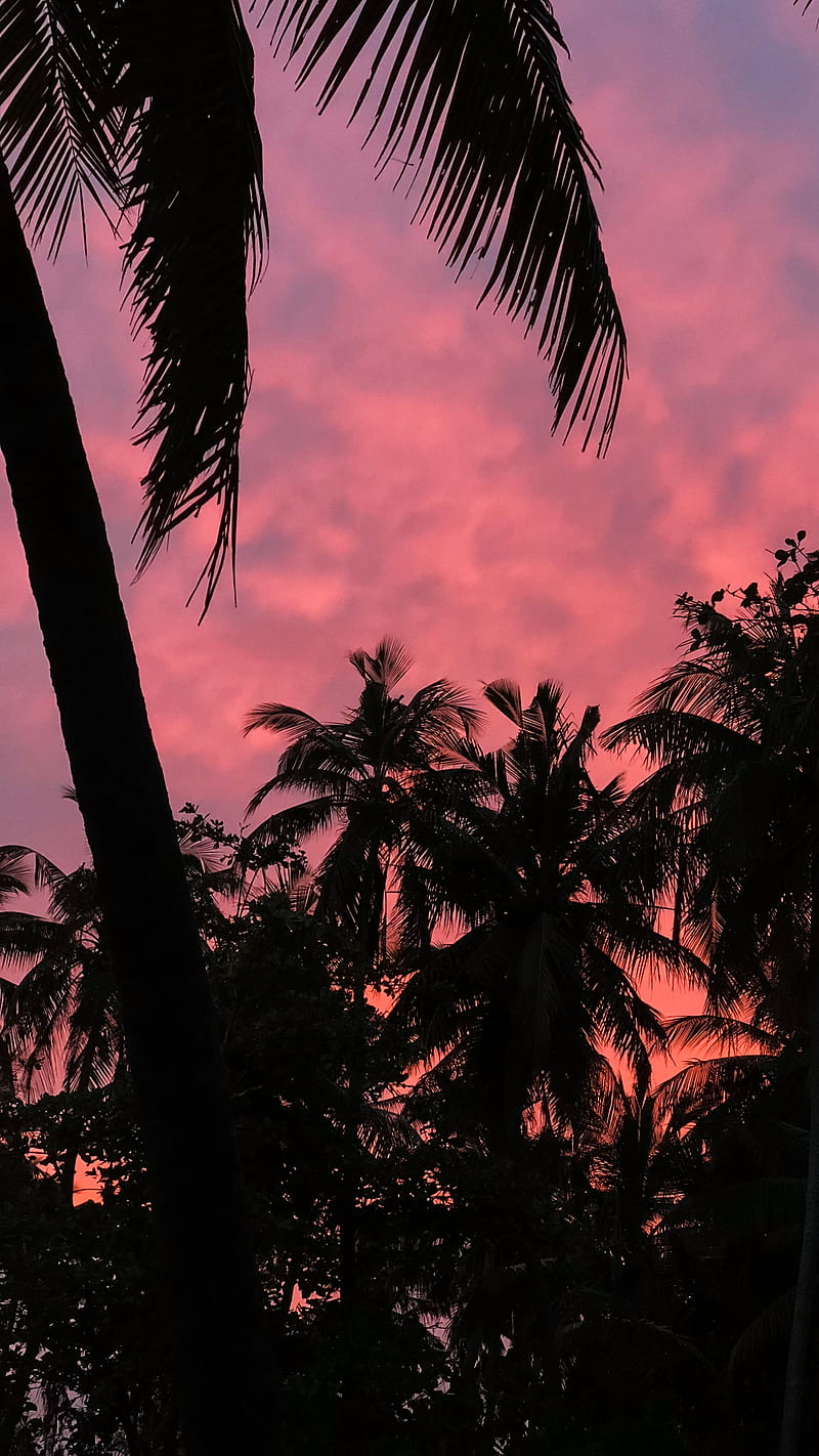 800x1422 Maldivian Sunset, bonito, beybe.am, cloud, clouds, fart, golden, holidays, hollywood, HD phone wallpaper