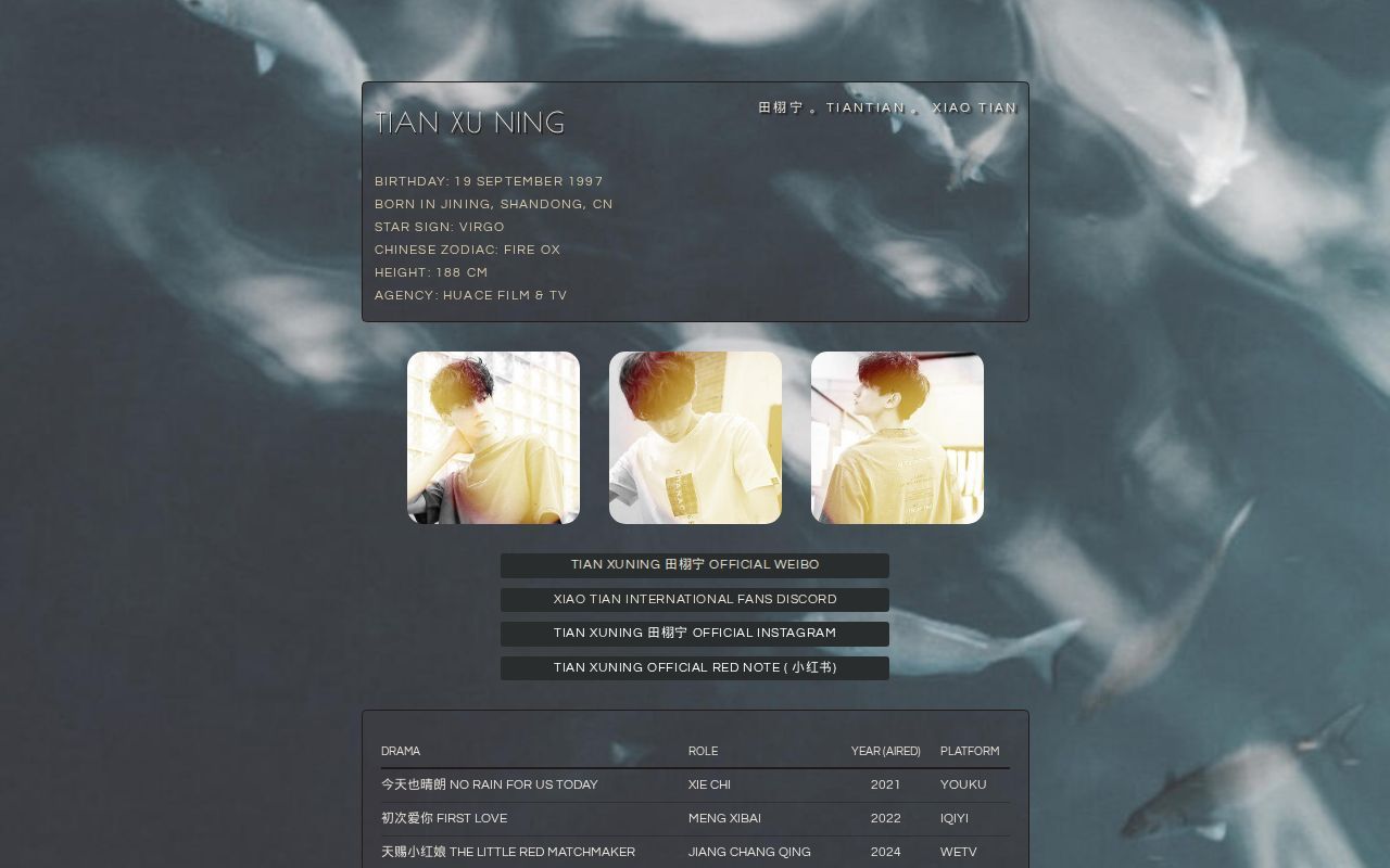 1280x800 Tian Xuning International