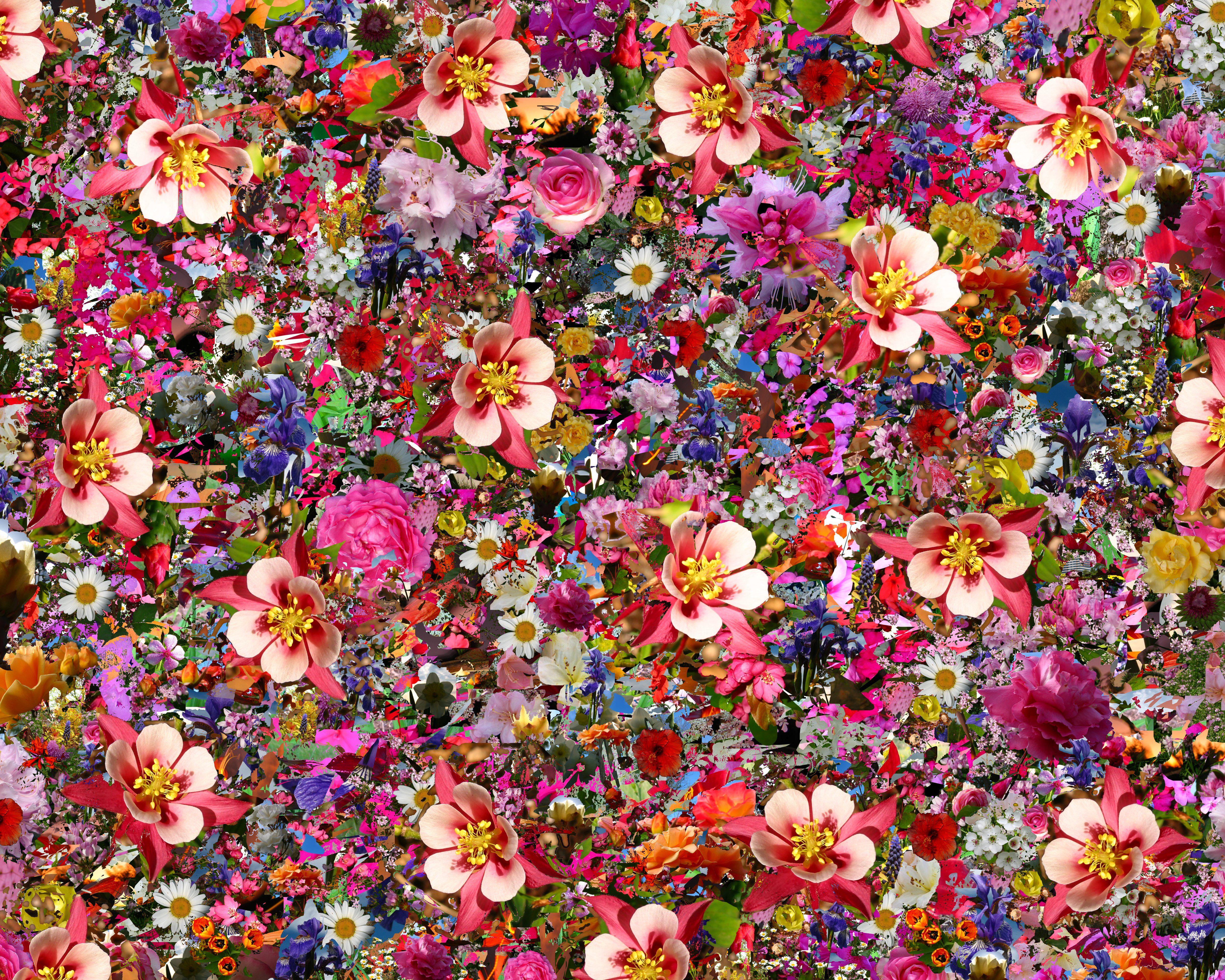Flower Collage Wallpapers - Top Free Flower Collage Backgrounds -  WallpaperAccess