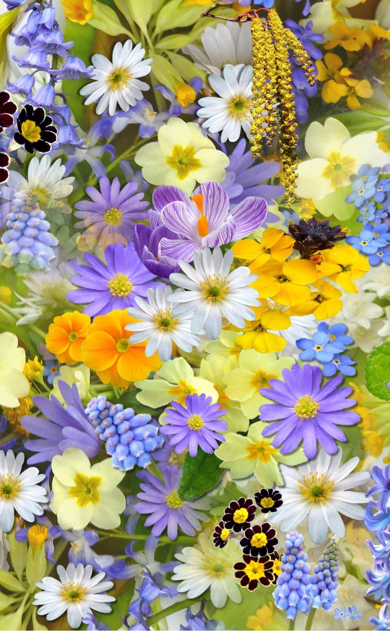 1334x2160 Spring Flowers Collage