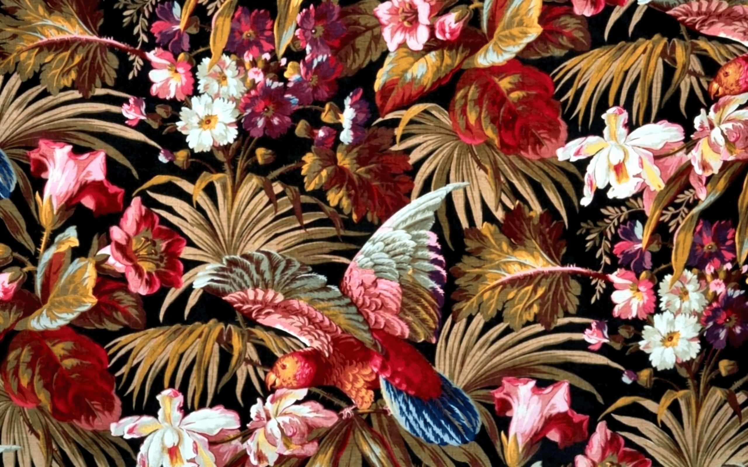 2560x1600 Free photo: Floral Collage Background, Collage, Floral