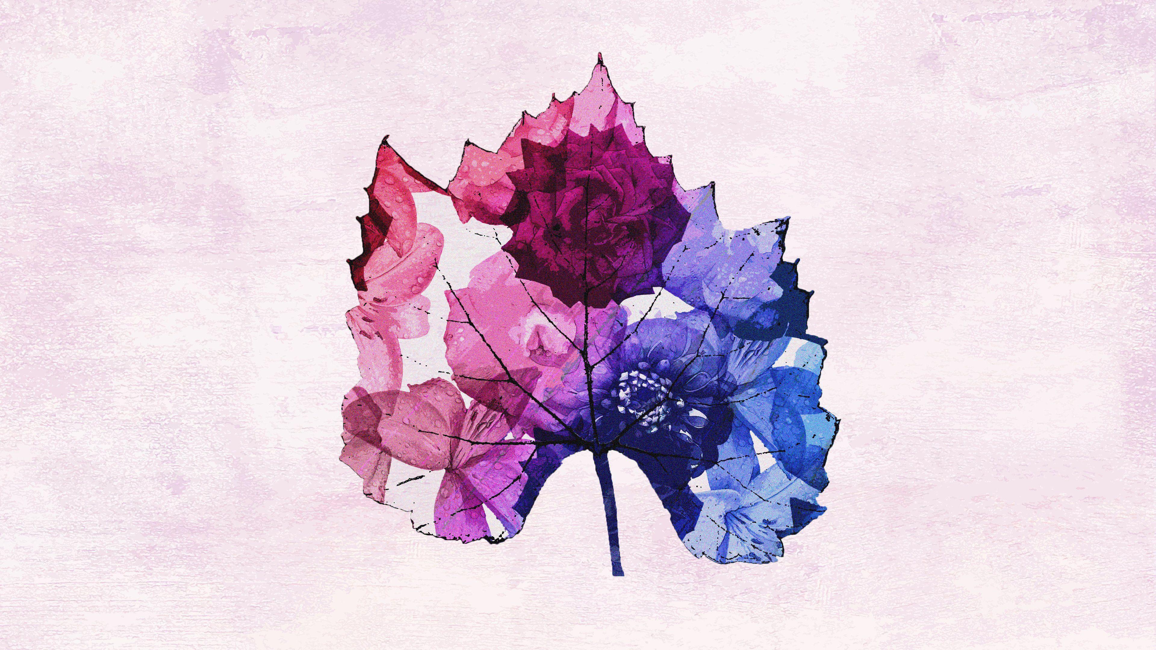 3840x2160 Colourful Leaf Made Up of a Flower Collage 4K wallpaper