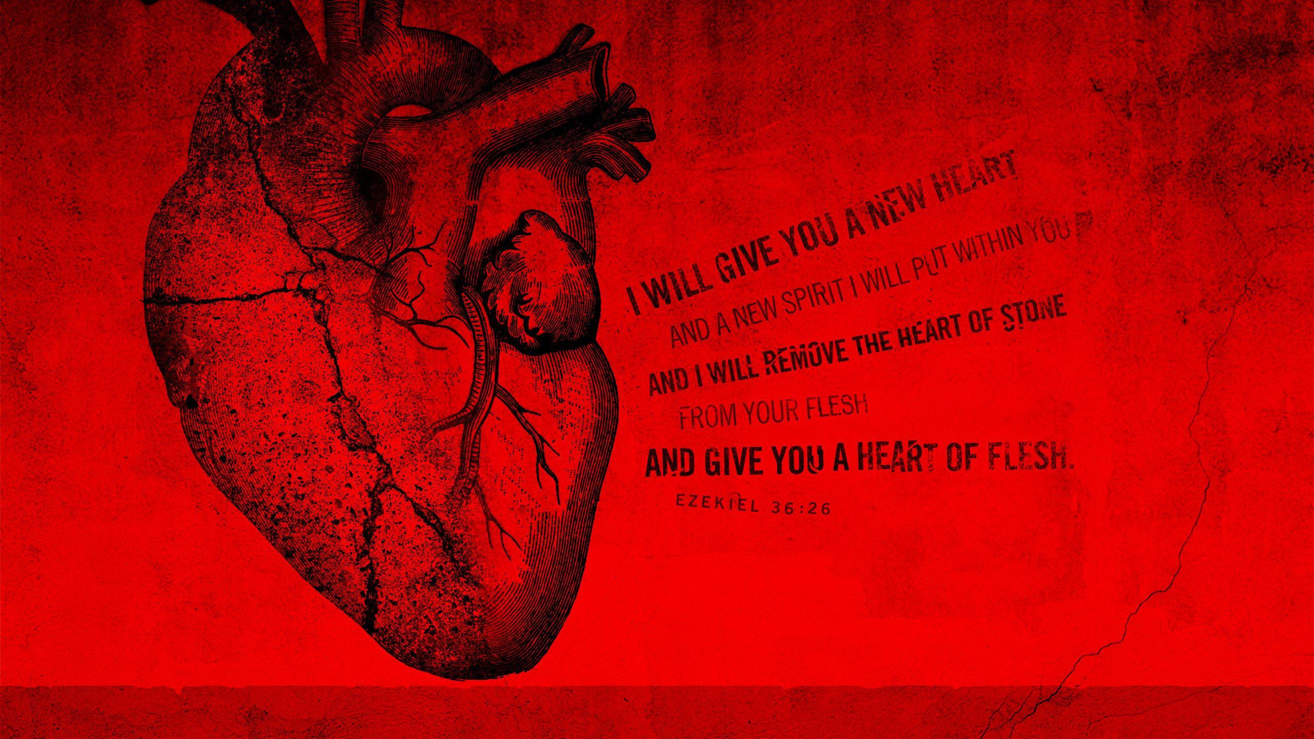 2560x1440 HD Medical Wallpaper