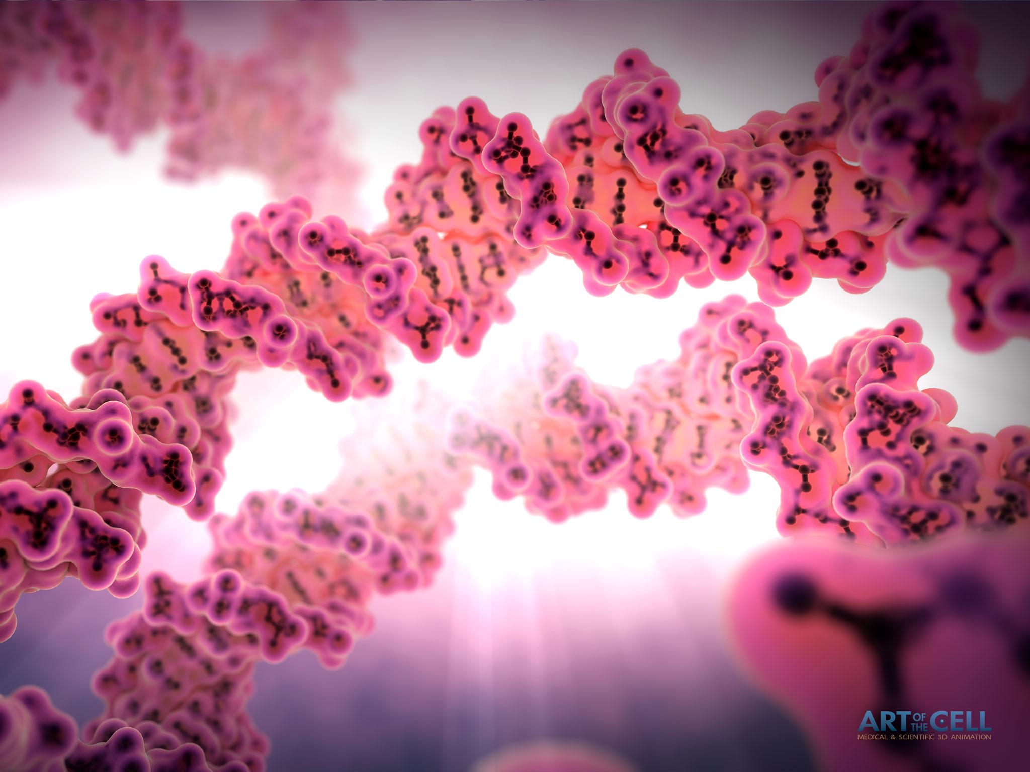 2048x1536 Medical Animation Wallpaper & Scientific Video