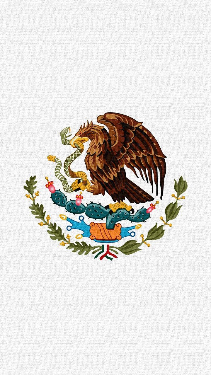720x1280 Download wallpaper 720x1280 flag, snake, mexico, eagle samsung