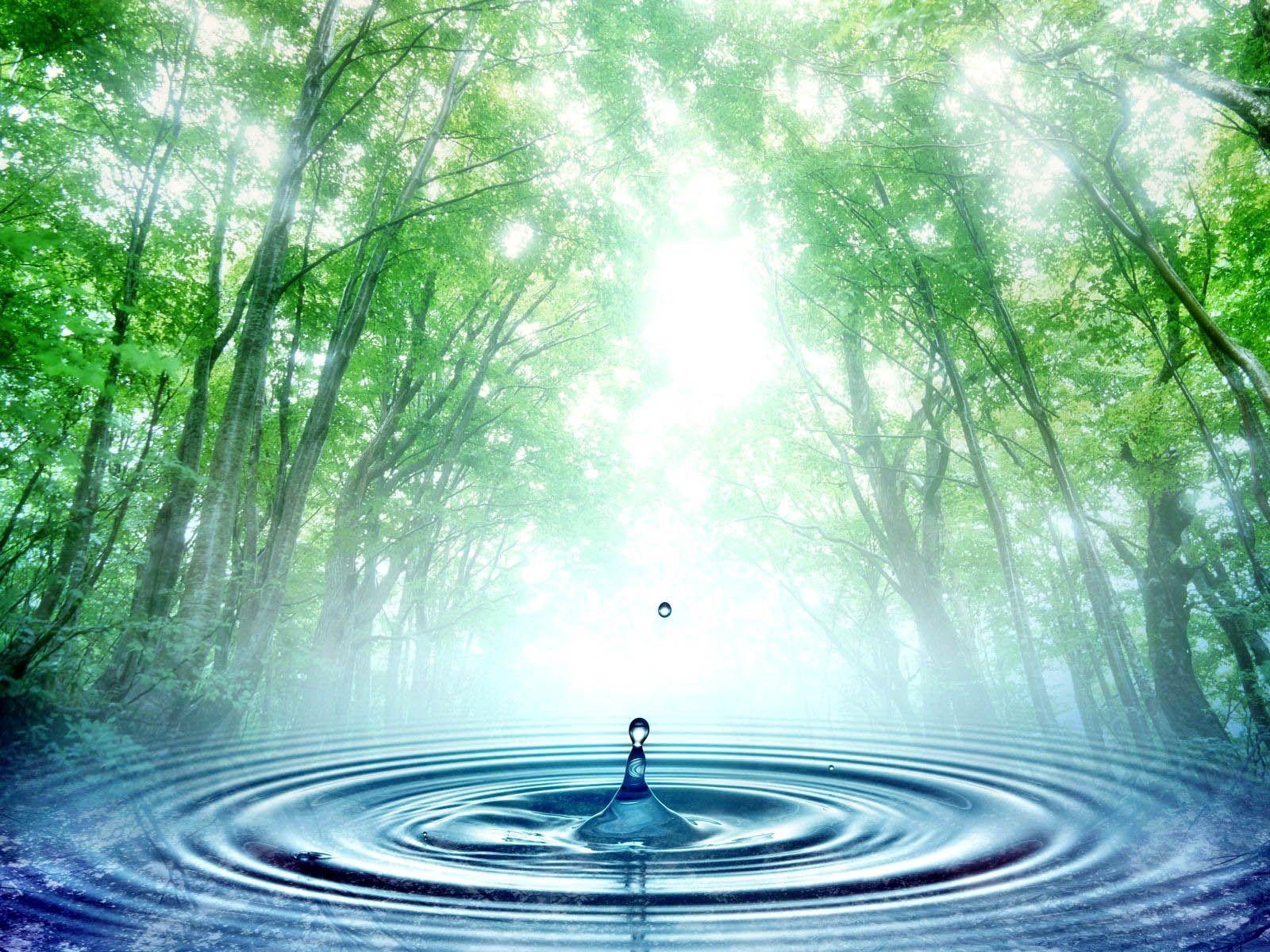 1600x1200 natural resource picture. Water resources is being wasted in Iraq