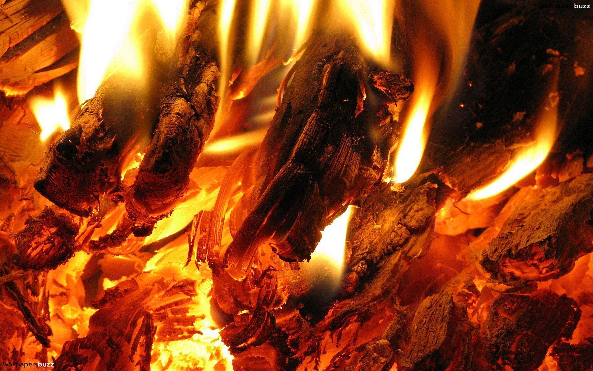 1920x1200 Bonfire. Bbq house, Fire, Barbeque restaurants