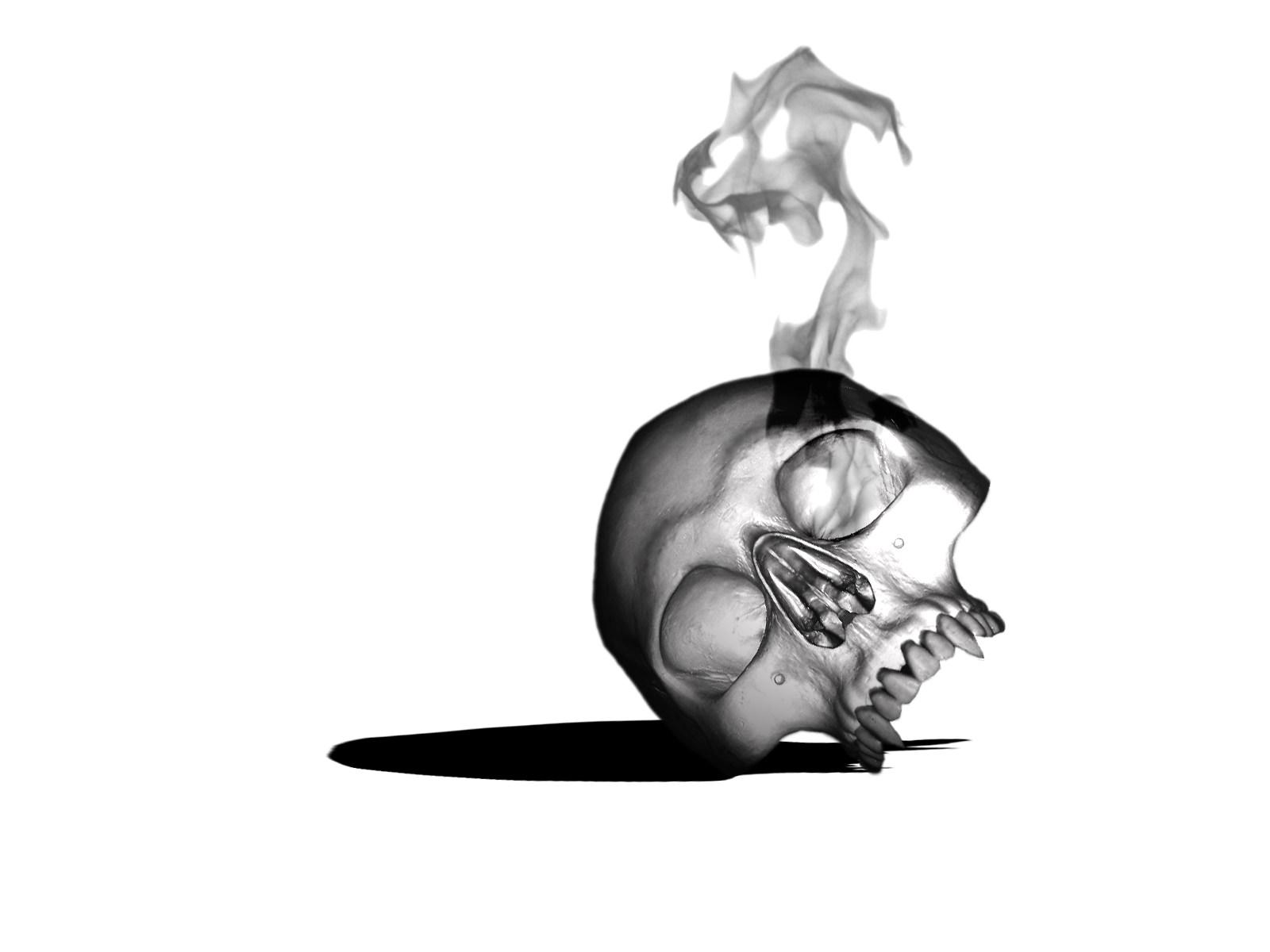 1600x1200 Skull wallpaper from Skulls wallpaper