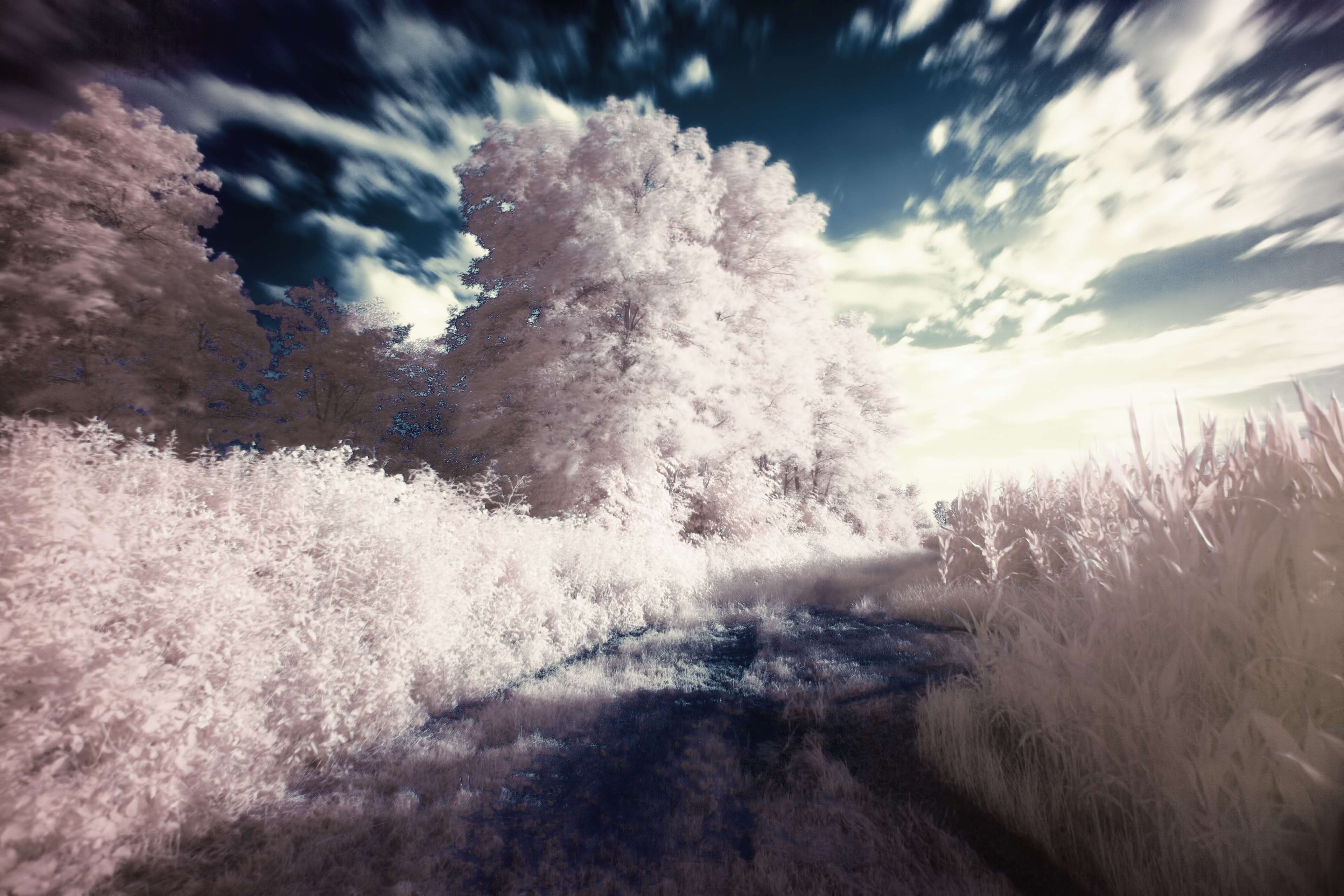 3840x2560 dream, filter, infrared, surreal 4k wallpaper. Free Stock