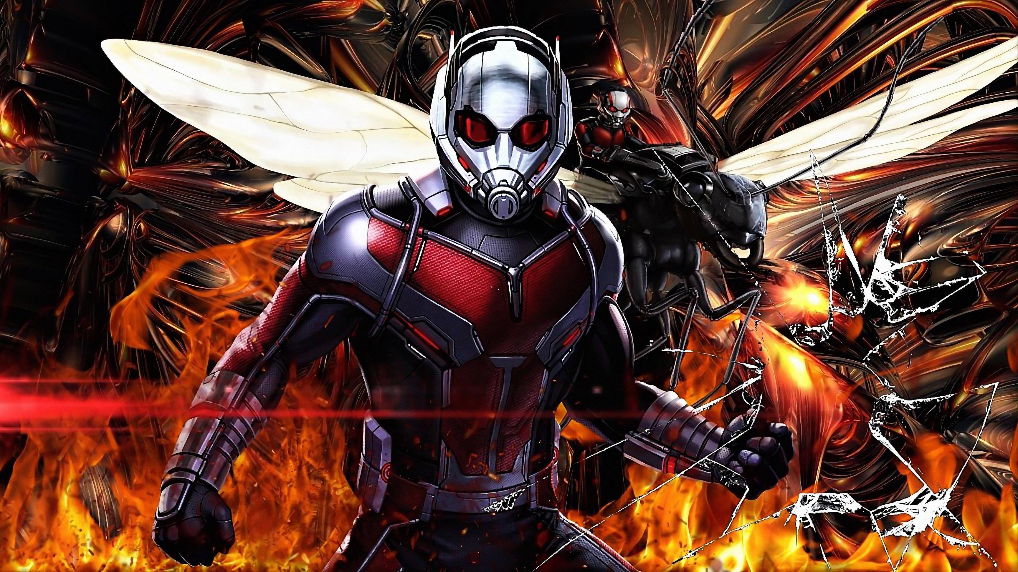 Ant-Man and the Wasp: Quantumania Movie Cast 4K Wallpaper iPhone HD Phone  #6751j
