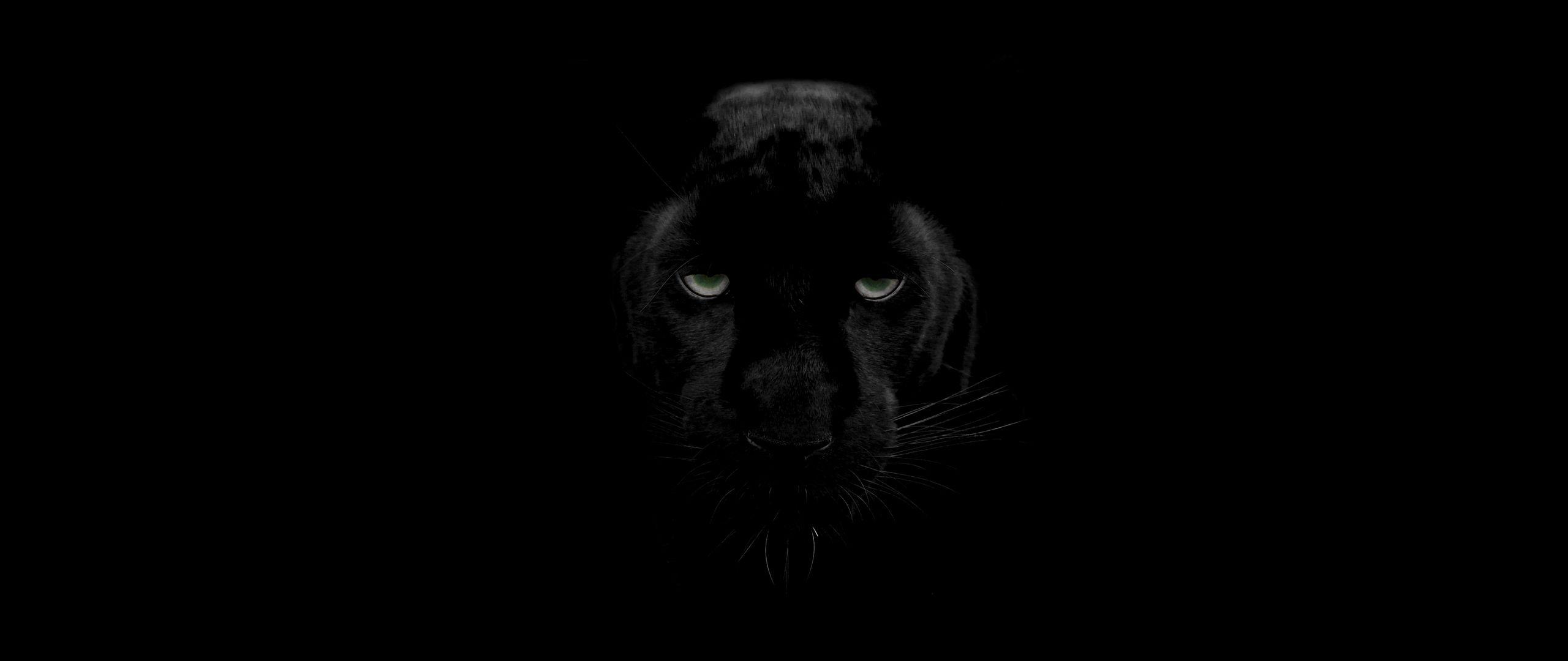 Black Panther Face Wallpapers Top Free Black Panther Face Backgrounds Wallpaperaccess