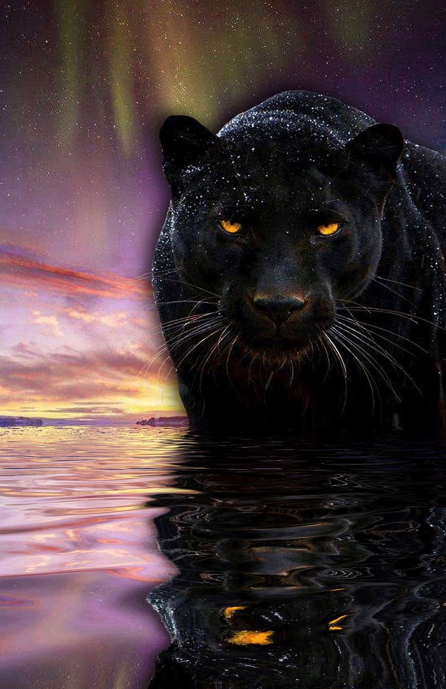 910x1405 Panther, Water, Northern Lights, Nature, Animal, One