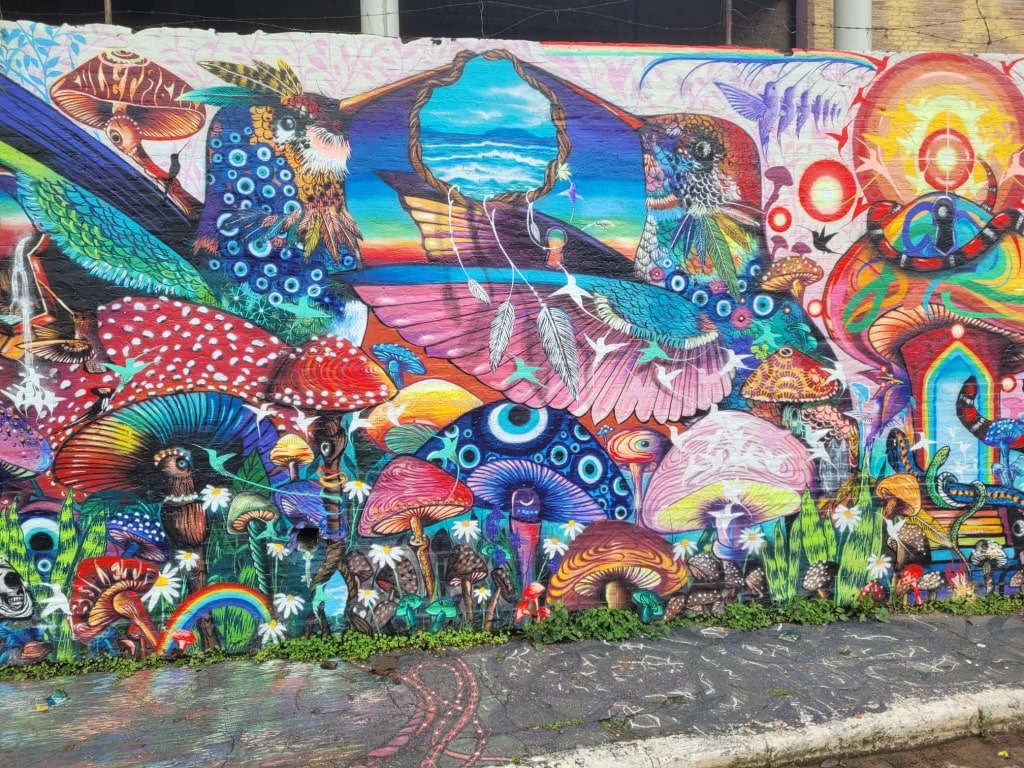1024x768 Street Art In São Paulo: 4 Best Places To Spot It!
