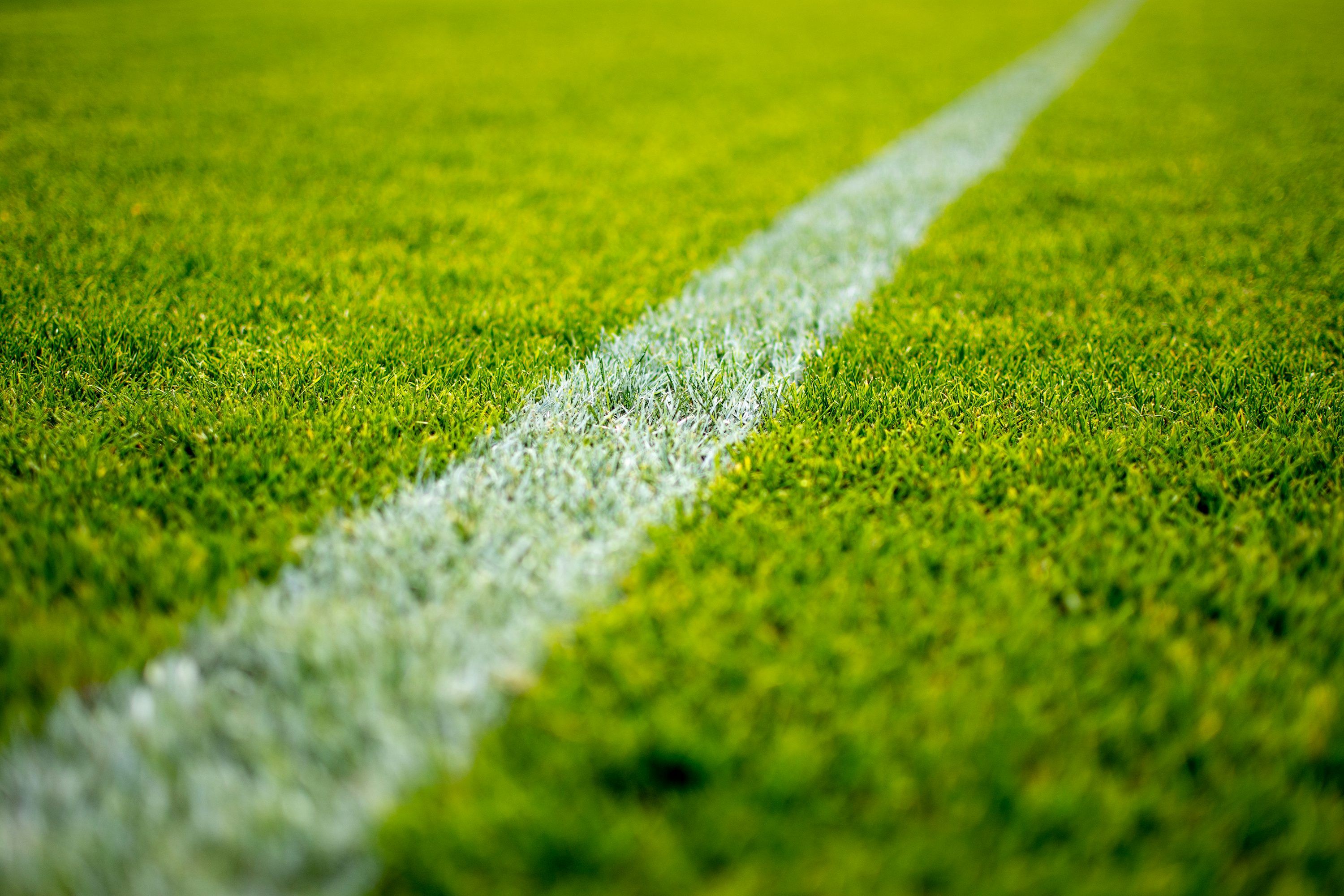 3000x2000 Soccer Grass Picture. Download Free Image