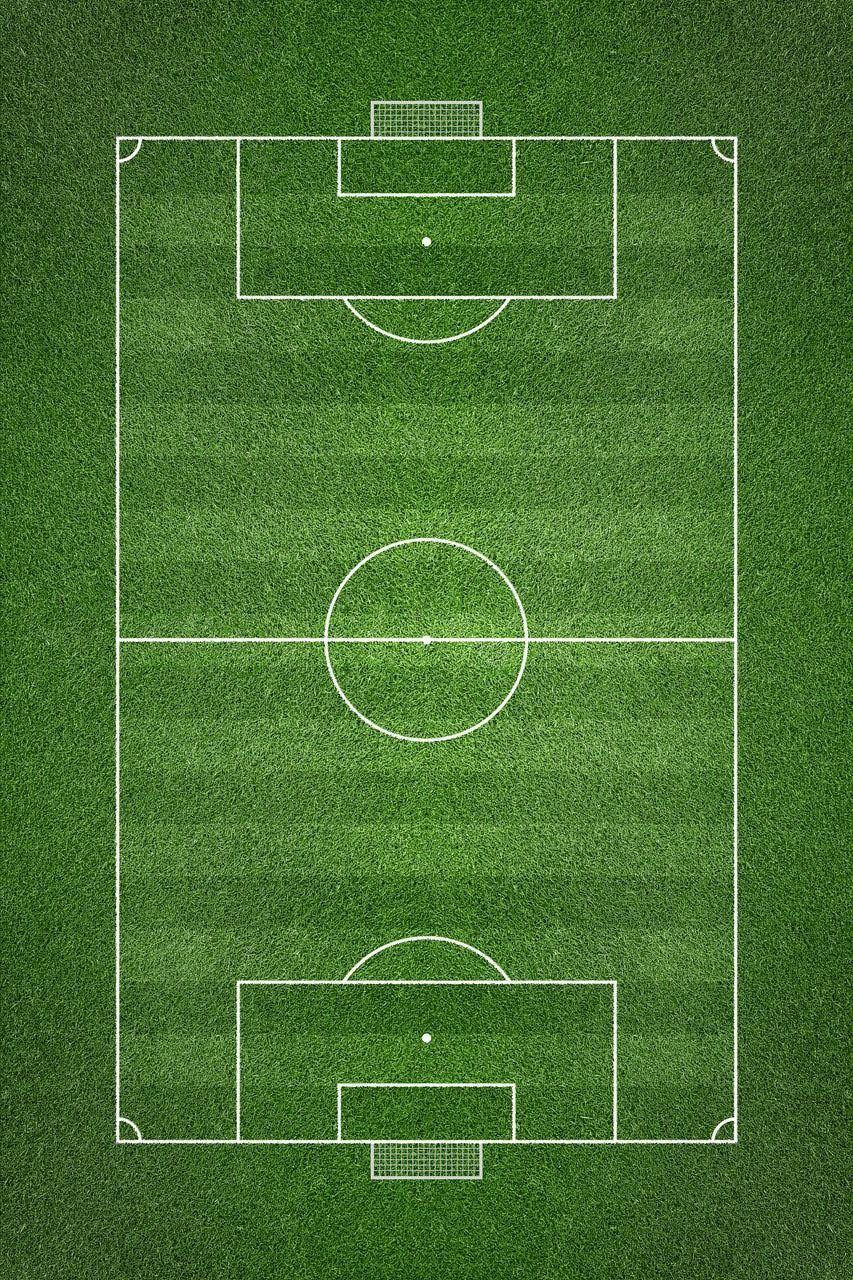 853x1280 Overhead shot of a soccer field Wall Mural_Vertical
