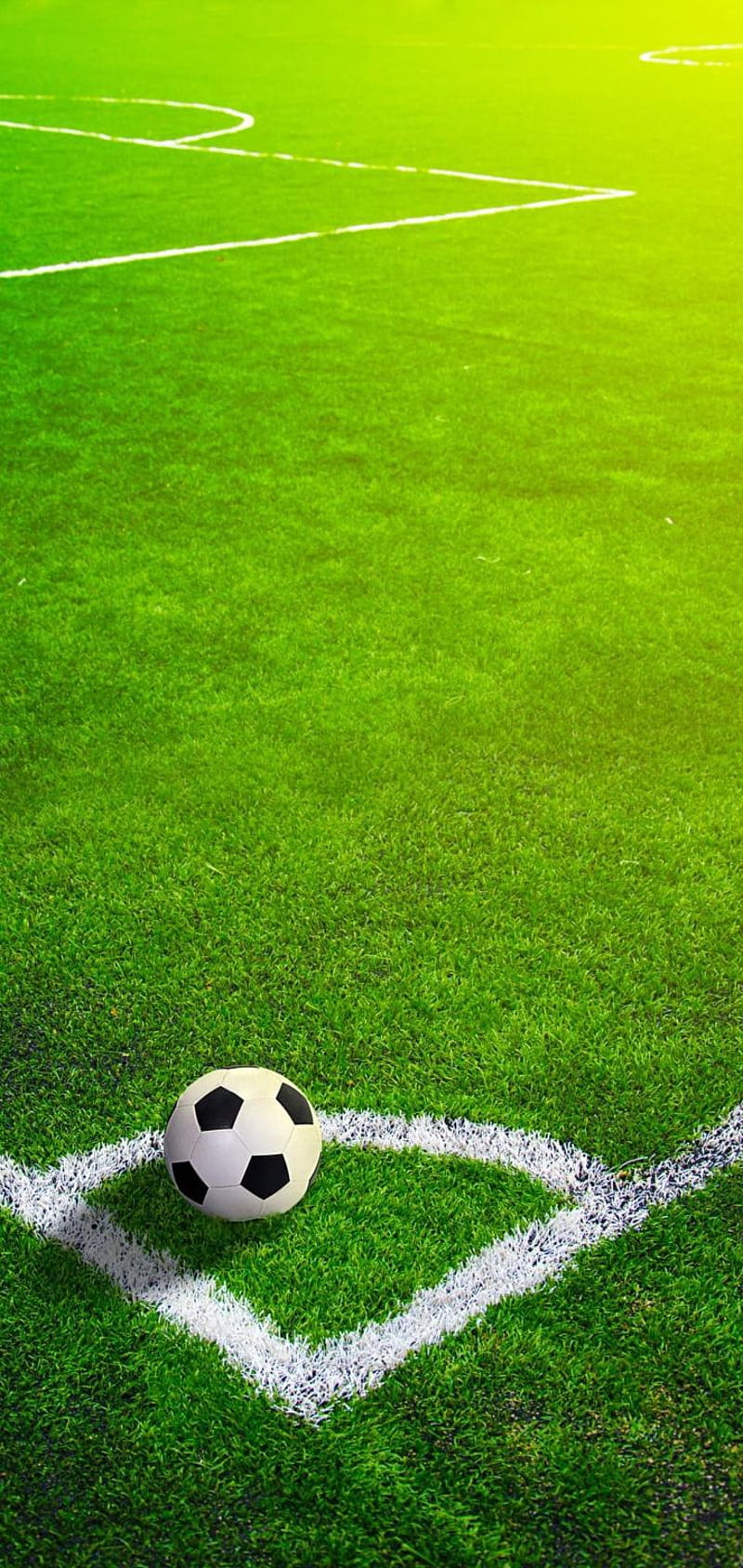 800x1689 Football, ball, balls, ground, football field, frases, futbol, HD phone wallpaper