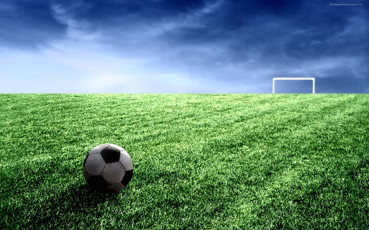 1228x768 Cute Soccer Wallpaper
