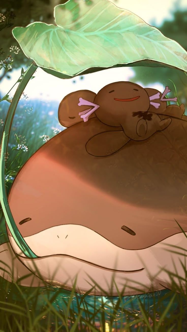 736x1309 Clodsire and Paldean Wooper pokemon