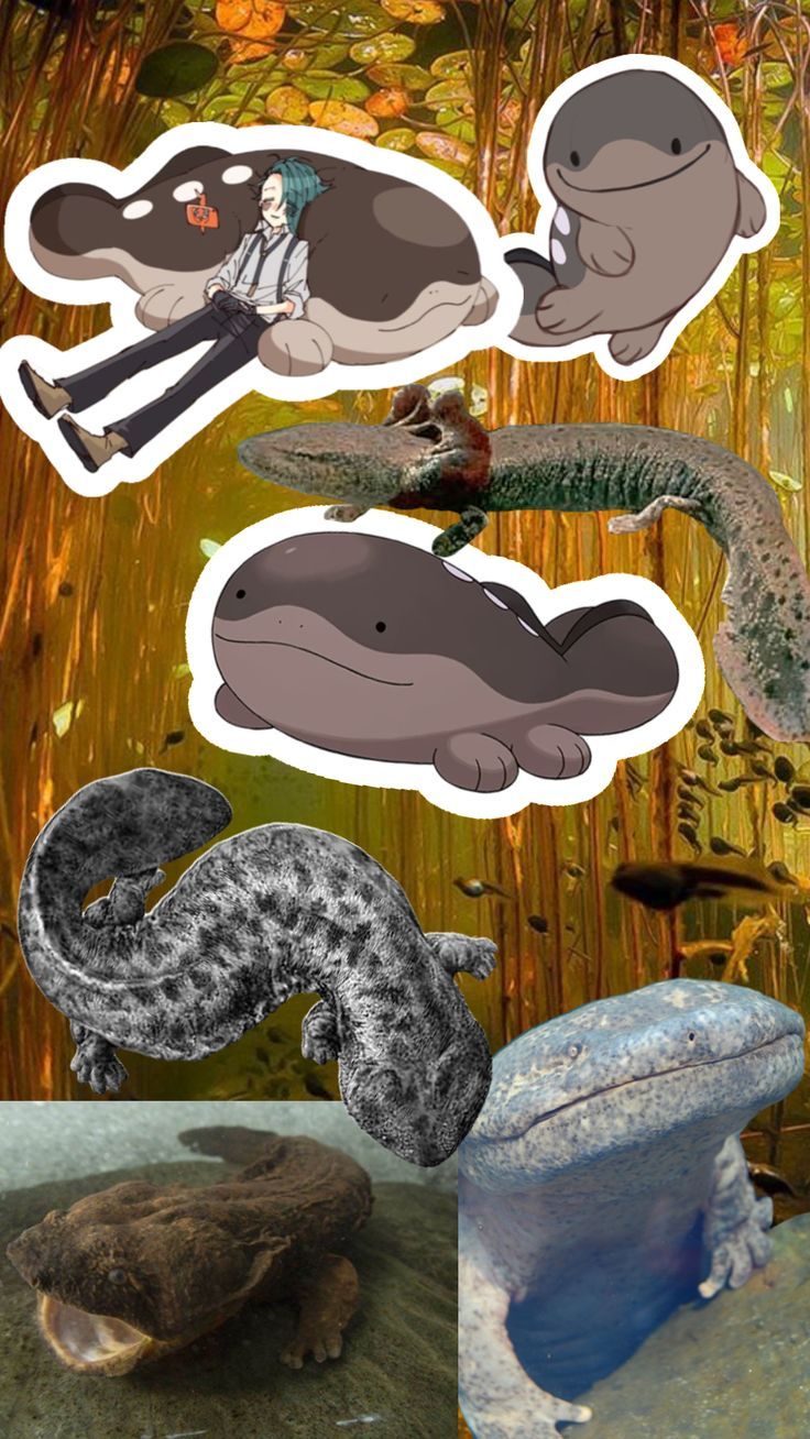 736x1308 Animals in the Water. Salandit wallpaper, Lichen rock pokemon, Clodsire plush