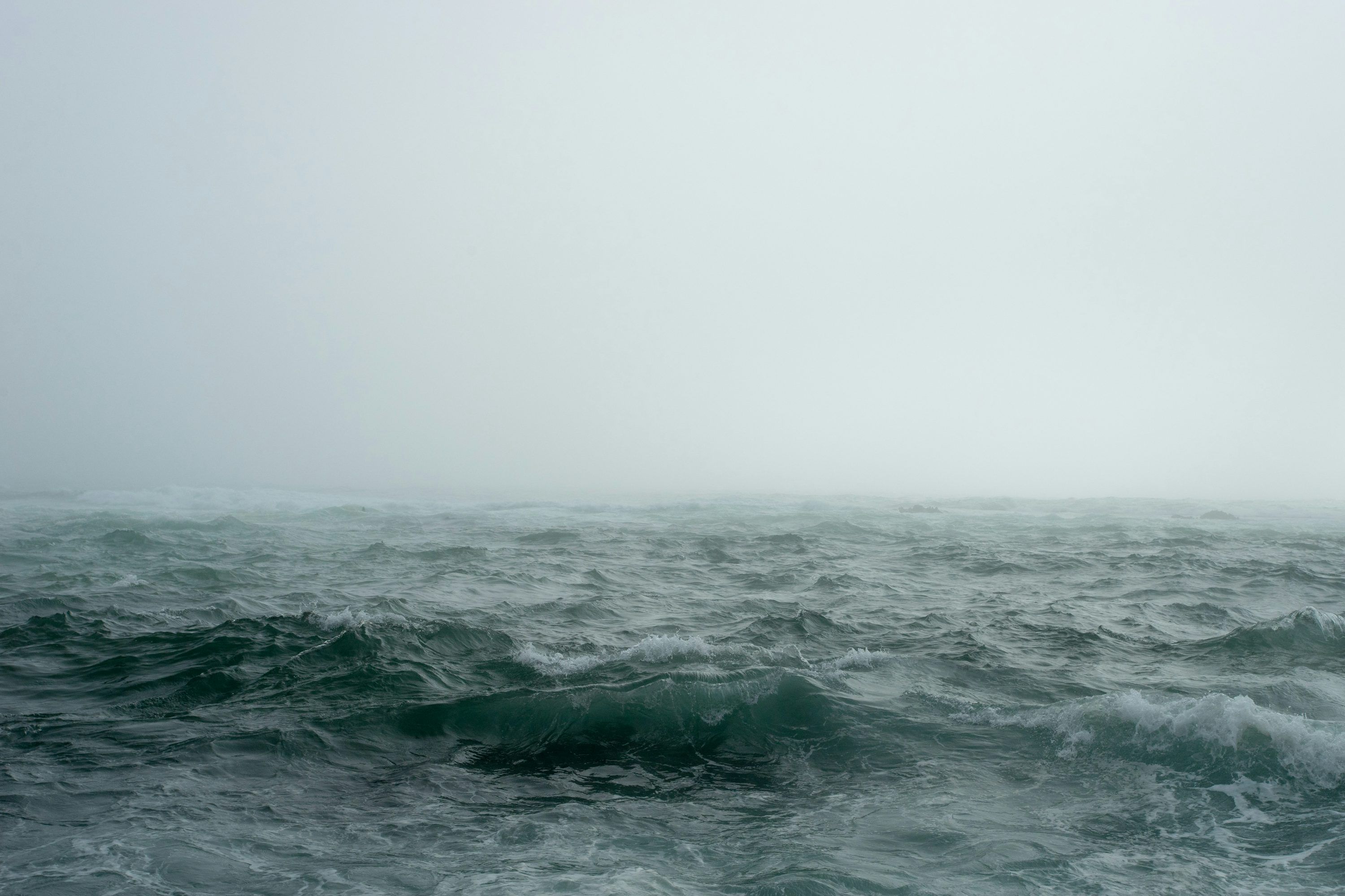 3000x2000 Body of water surrounded