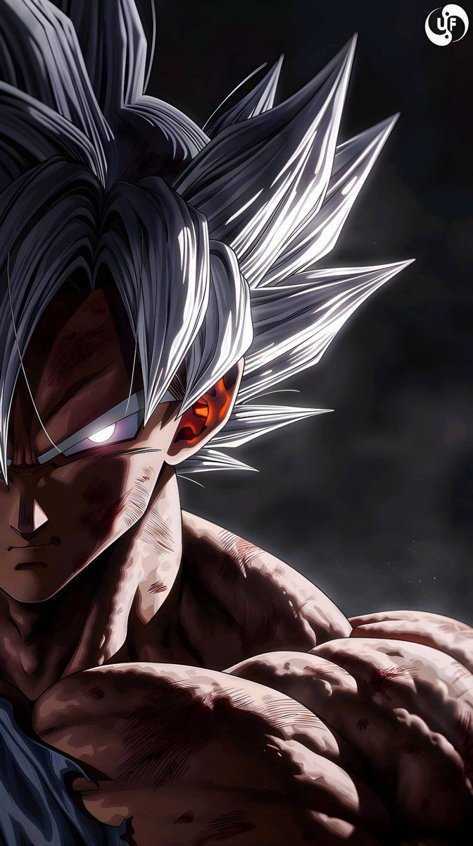 672x1200 Goku Super Saiyan or Ultra instinct