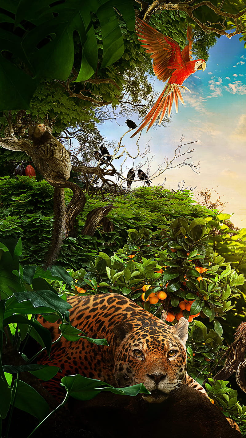 800x1422 Jungle, animals, bird, forest, jaguar, nature, parrot, HD phone wallpaper