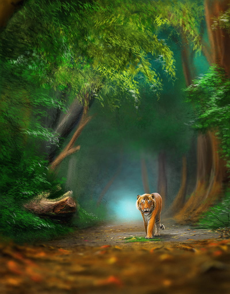 800x1023 Tiger, animal, predator, forest, wildlife, art, HD phone wallpaper