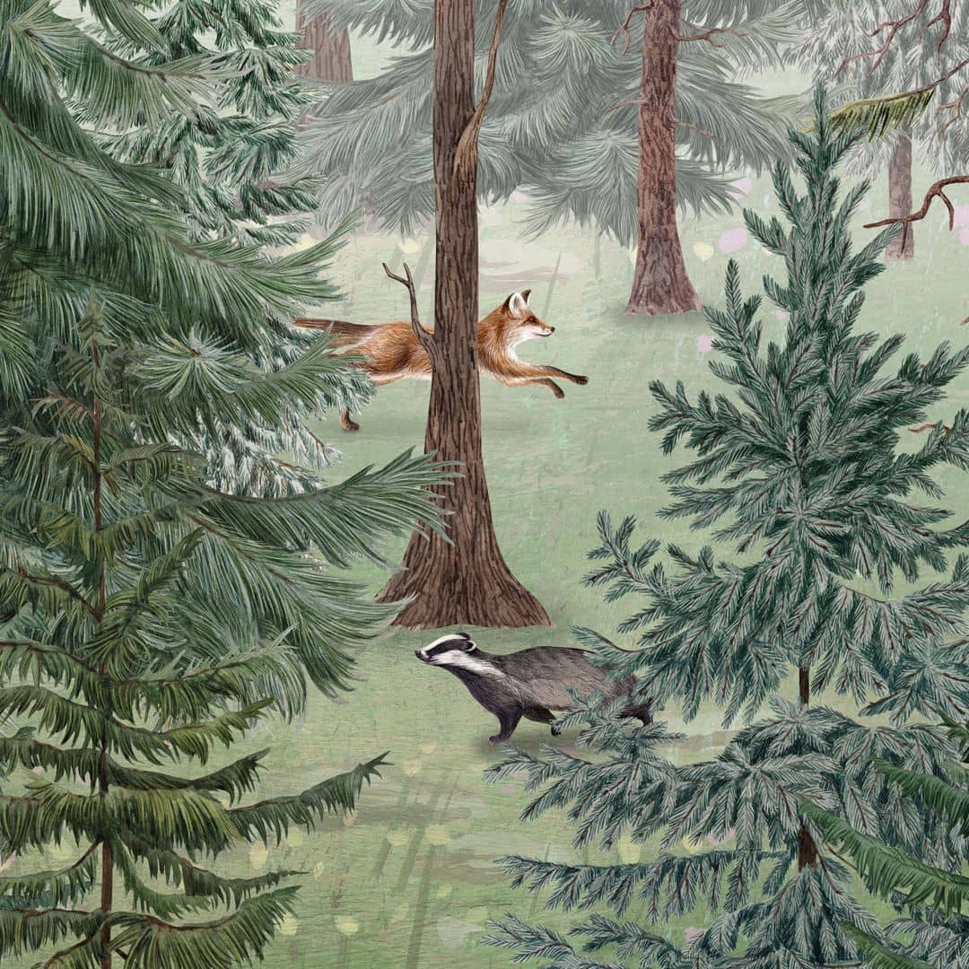 1080x1080 Wall Mural, nature wallpaper for children animals in the green alpine forest