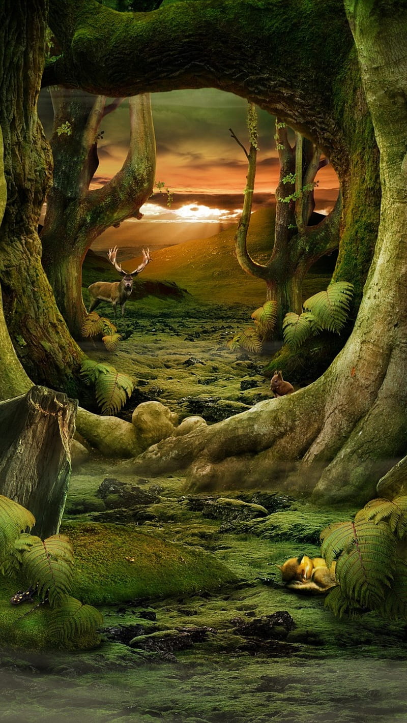 800x1422 Forest, animals, trees, green, deer, nature, HD phone wallpaper