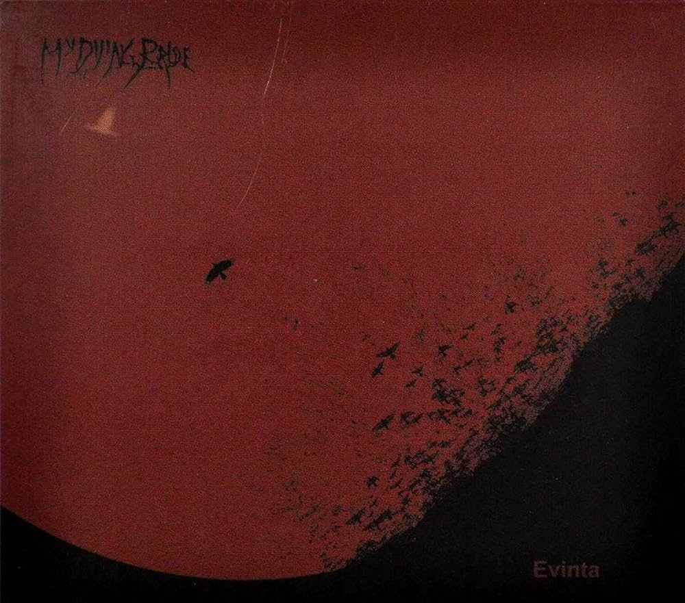1000x881 Evinta: CDs & Vinyl