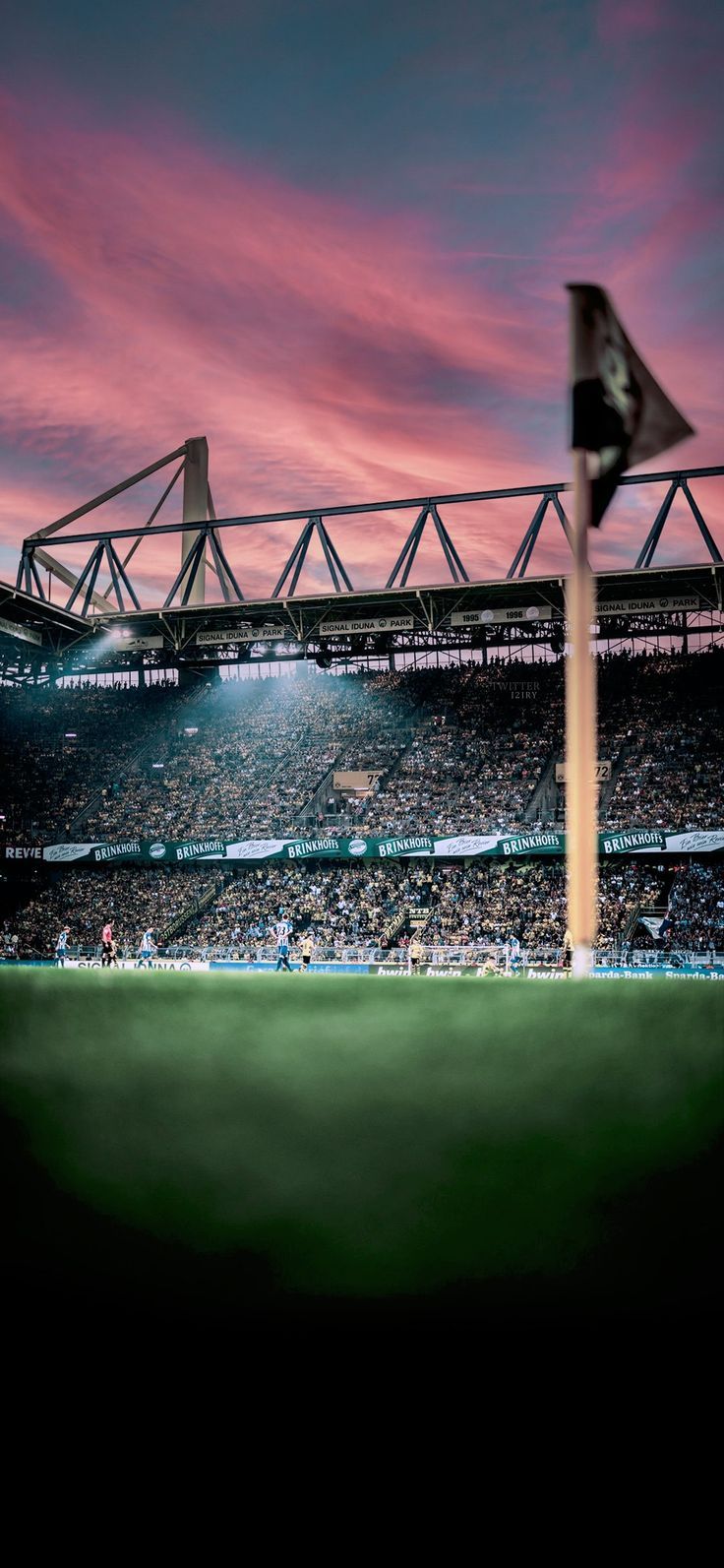 736x1593 Signal Iduna Park Wallpaper