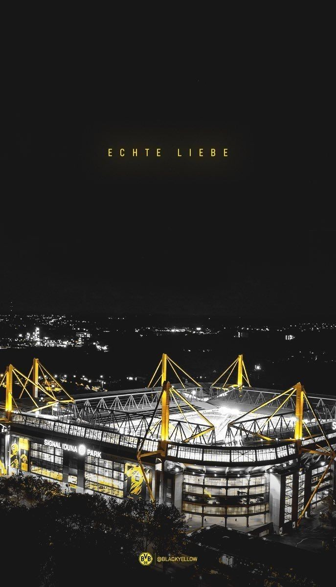 687x1200 Borussia Dortmund Wallpaper Logo Haaland