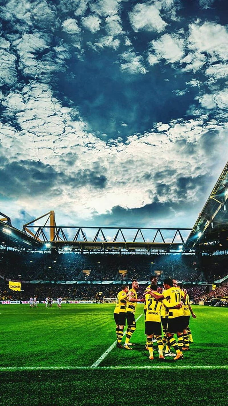 800x1422 Borussia dortmund, bundesliga, football, players, signal iduna park, esports, HD phone wallpaper